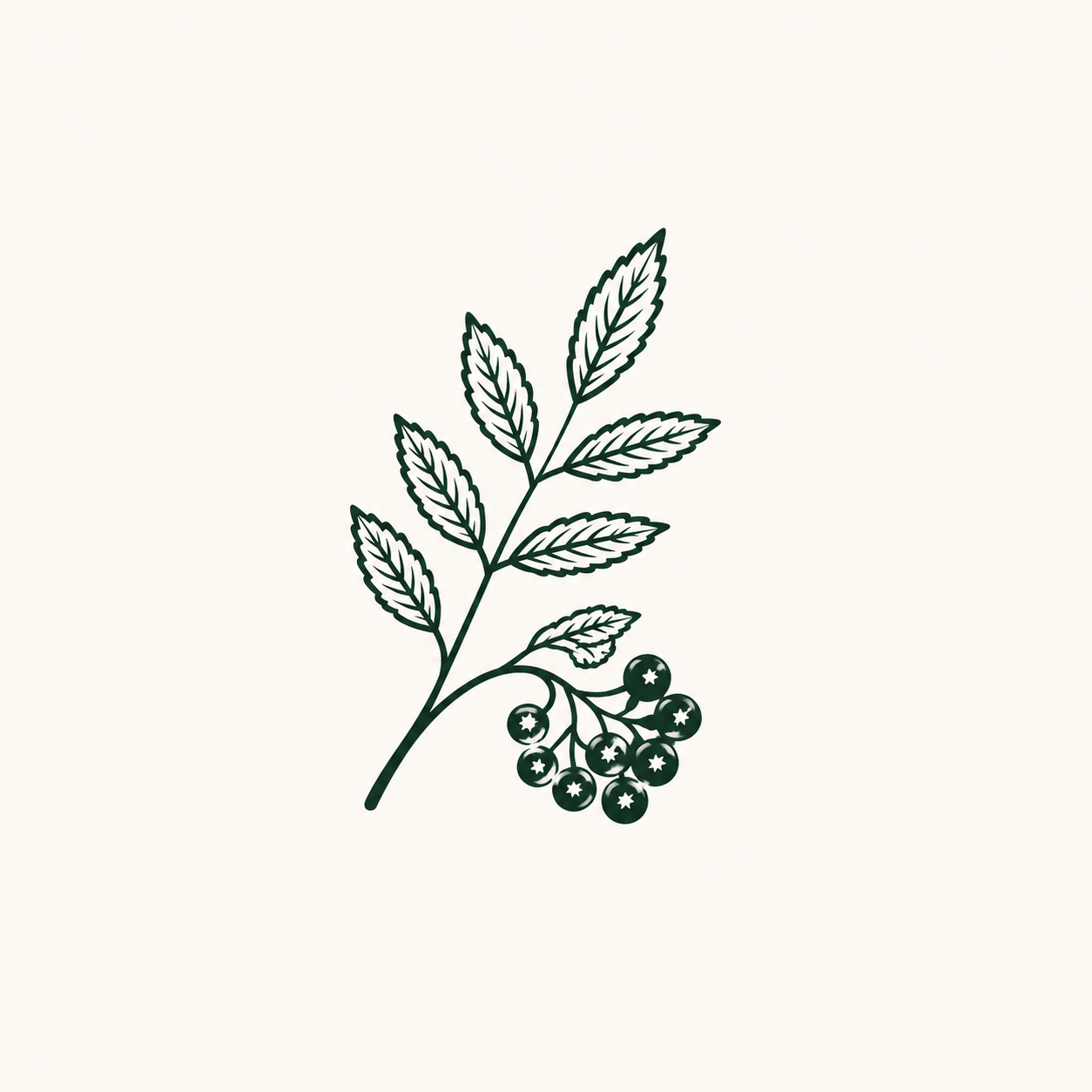 Rowan & Tide